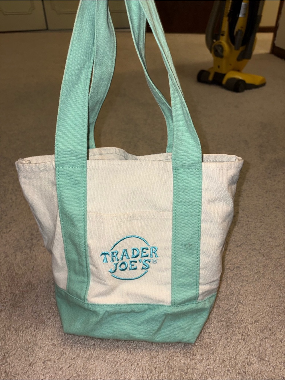 Trader Joe's Canvas Tote in Mint and White